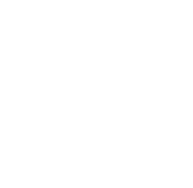 Decorative vector